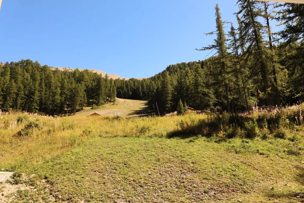 Chalet La Combe D Or