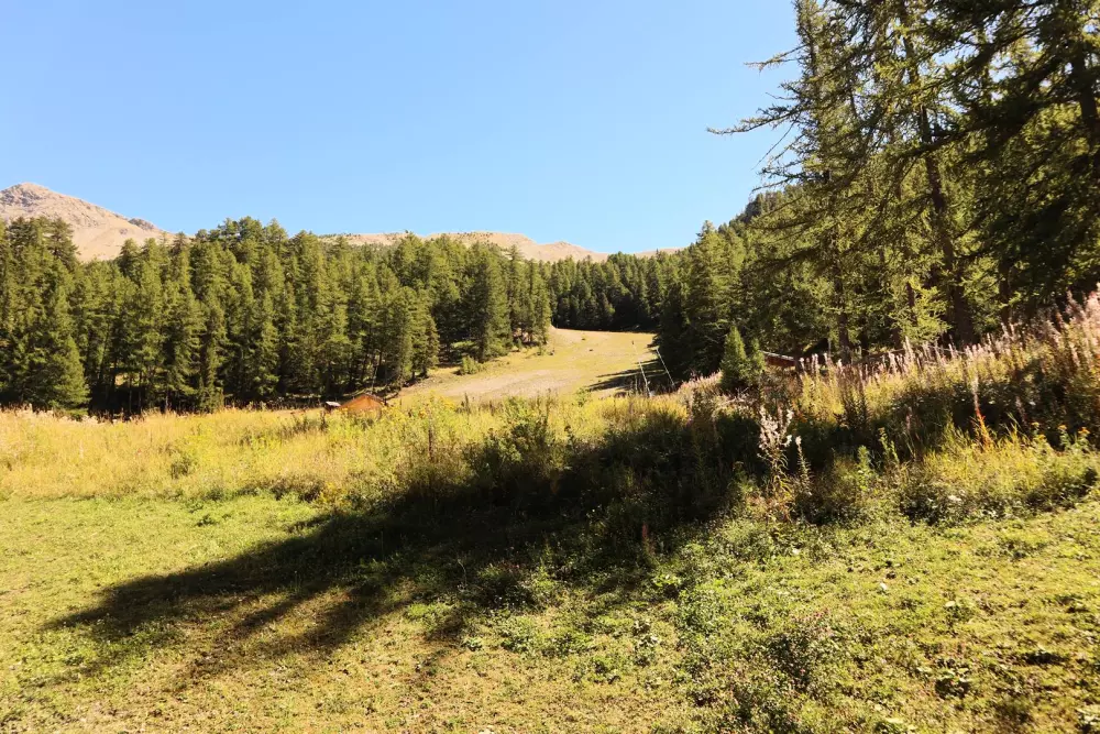 Chalet La Combe D Or