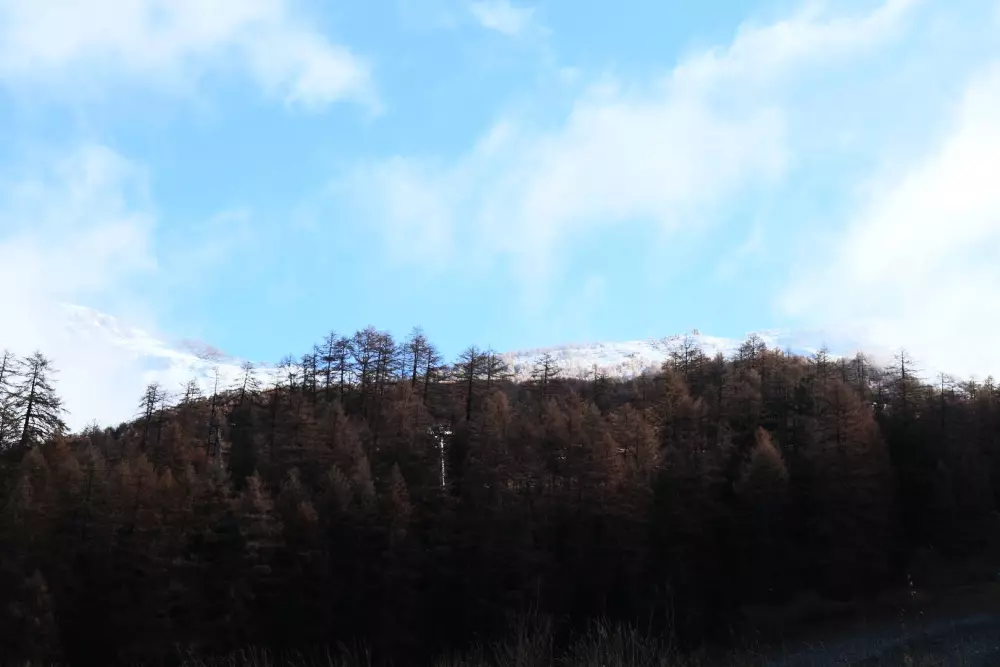 Chalet La Combe D Or