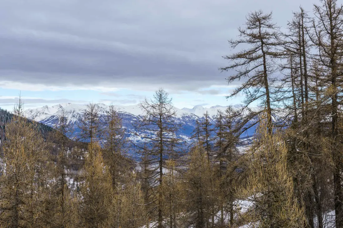 Les Chalets De Bois MÉan - D