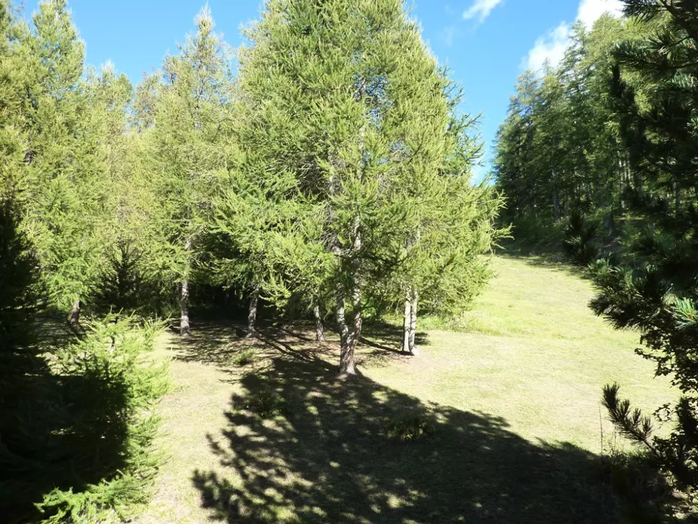 Résidence L'eperviere