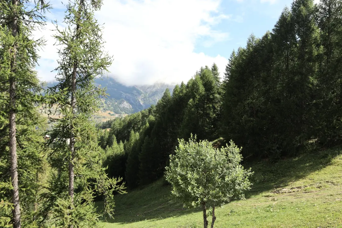 Résidence La  Mazeliere