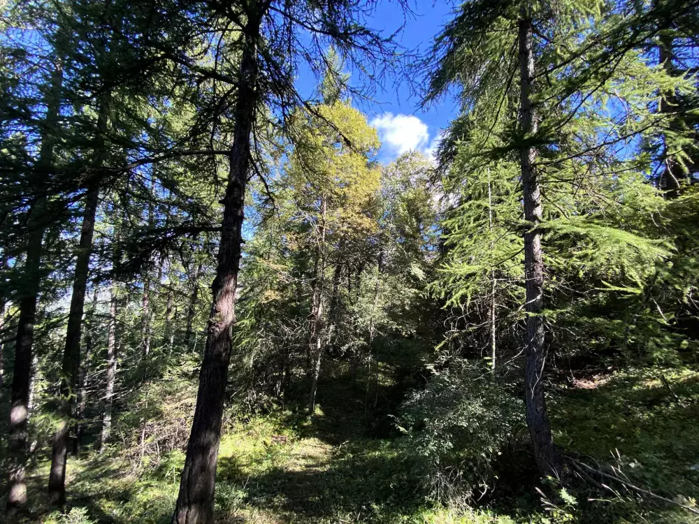 Résidence Les Roches Blanches