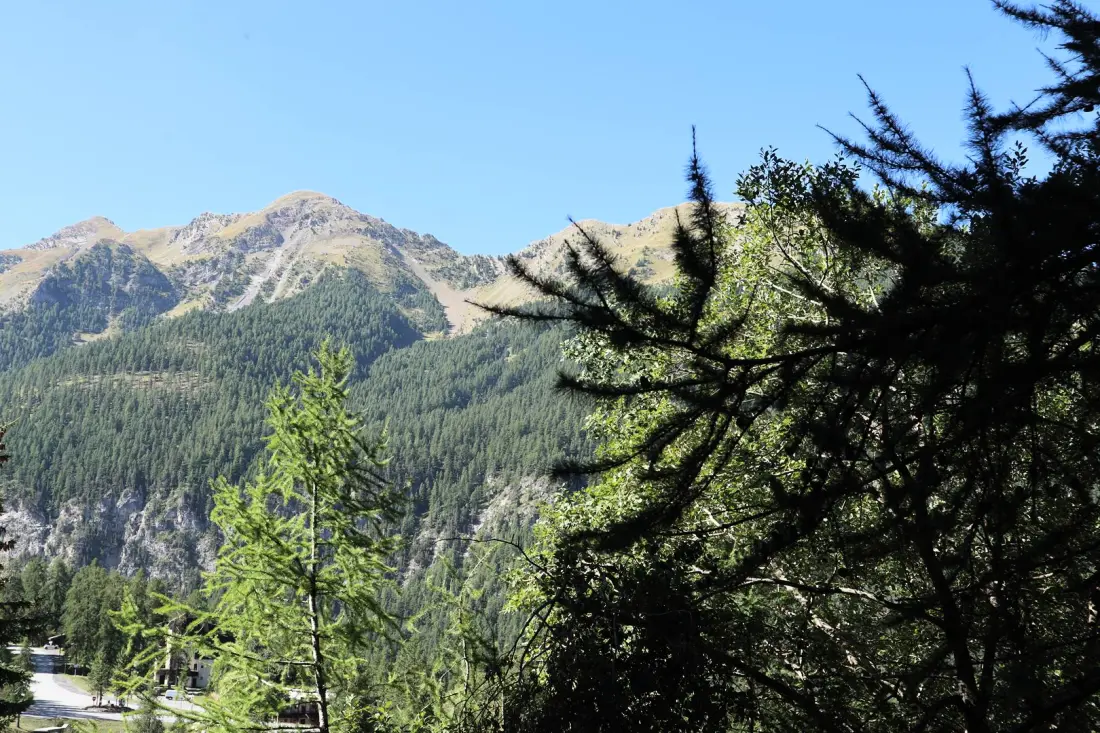Résidence Le Belvedere