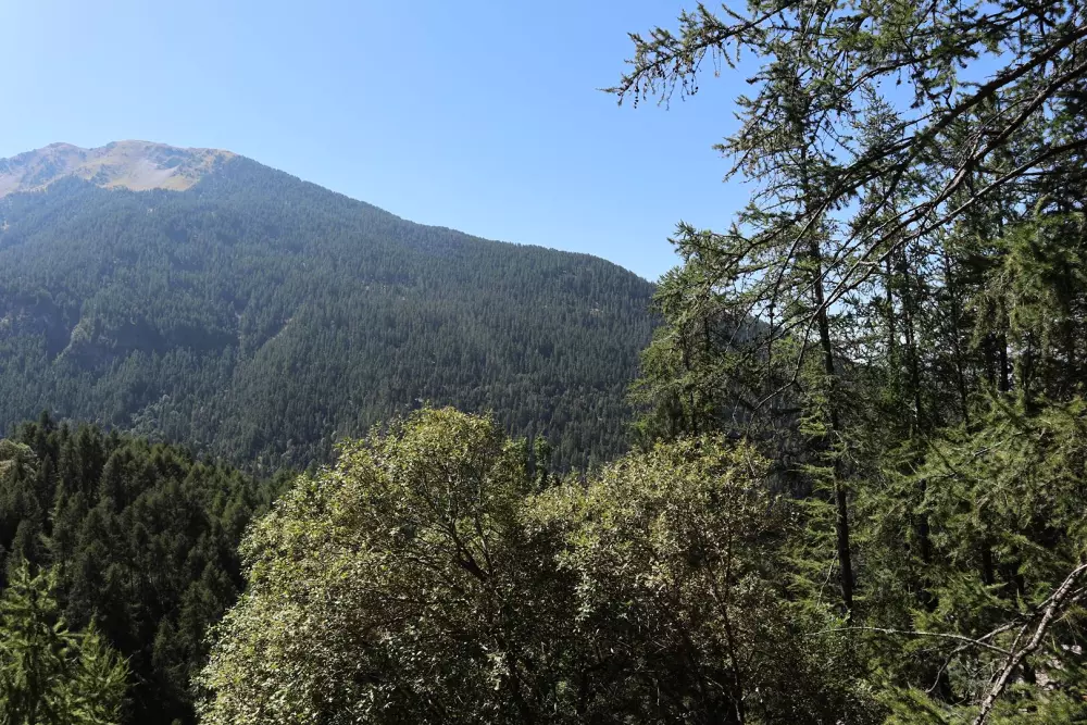 Résidence Le Belvedere