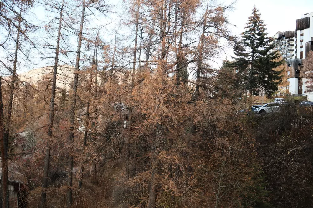 Résidence Le Belvedere