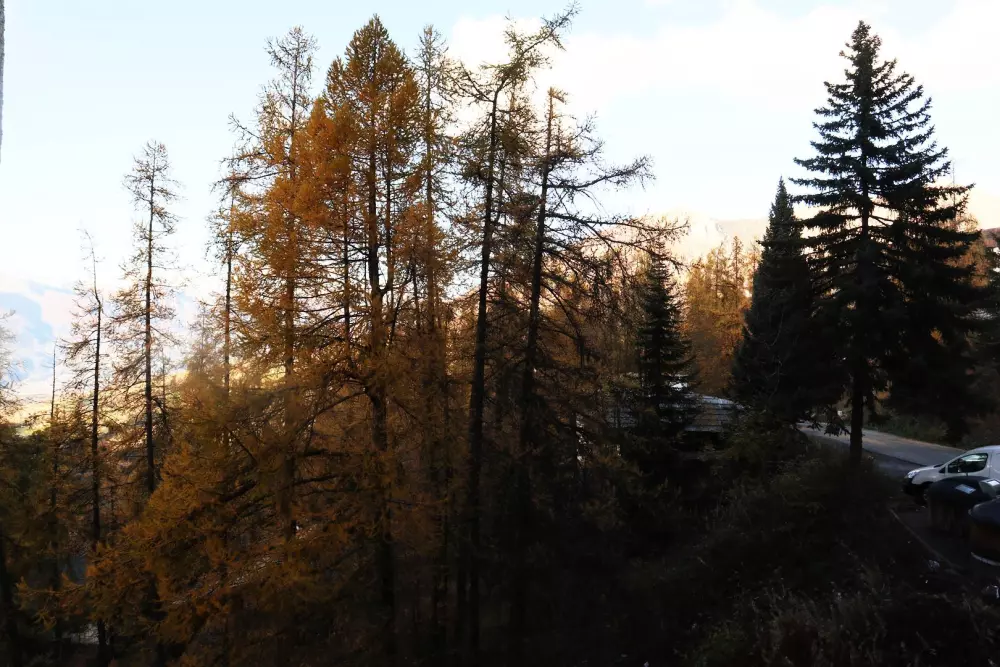 Résidence Le Belvedere