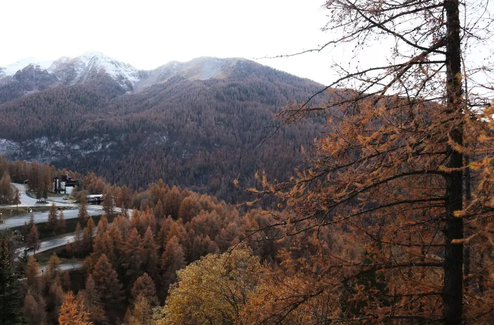 Résidence Le Belvedere