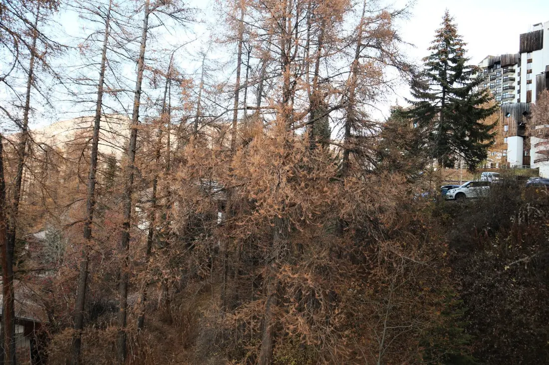 Résidence Le Belvedere