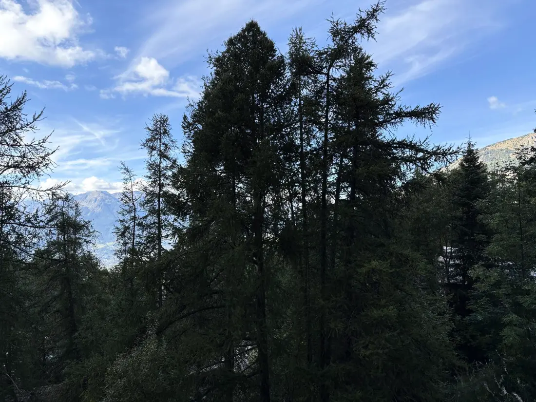 Résidence Le Belvedere