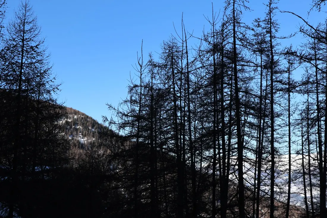 Résidence Le Pouzenc