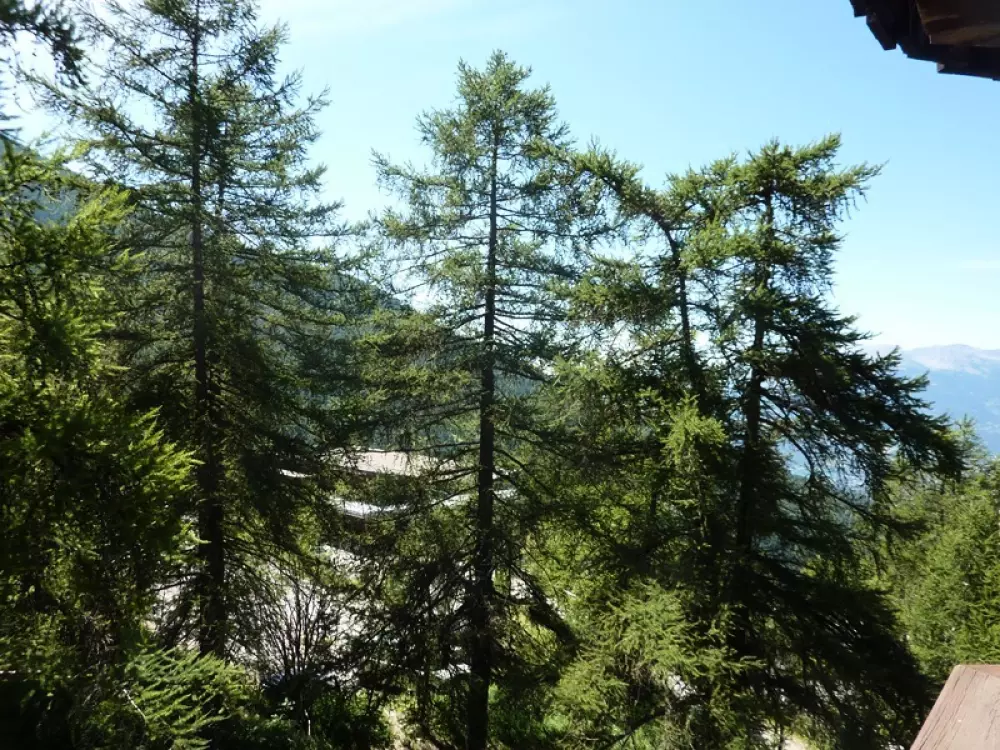 Résidence Le Pouzenc