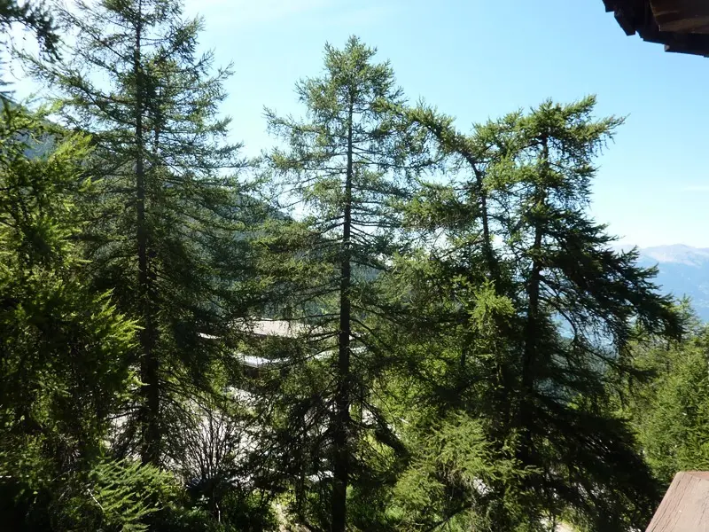 Résidence Le Pouzenc