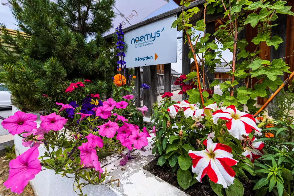 Résidence Les Chalets de Bois Méan 3 étoiles★★★