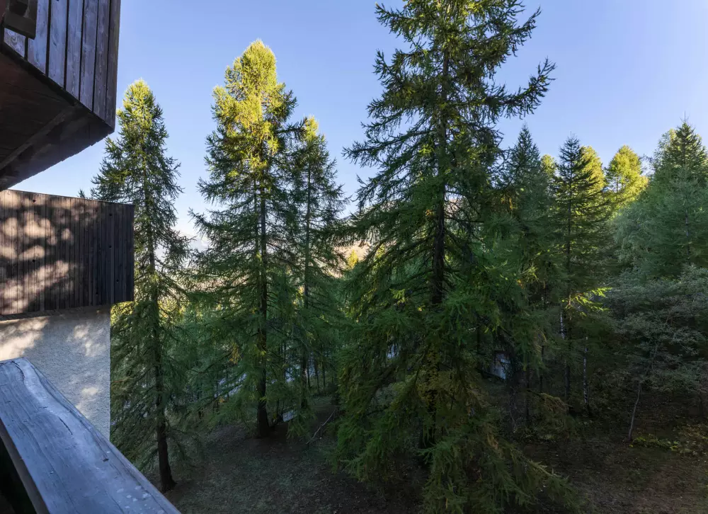 Résidence Les Ecrins