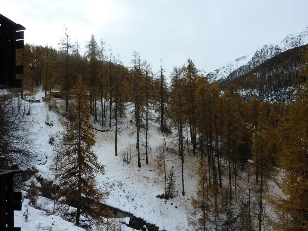 Résidence Les Flocons
