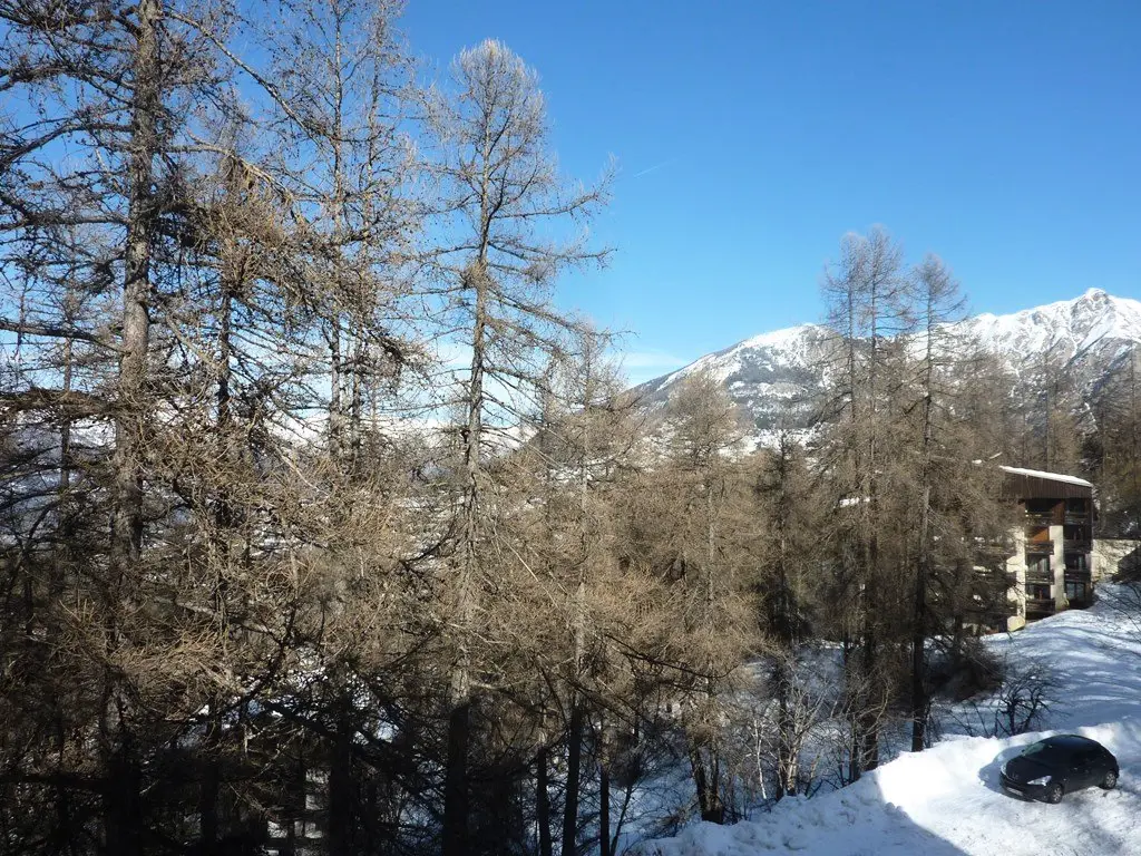 Résidence Les Flocons