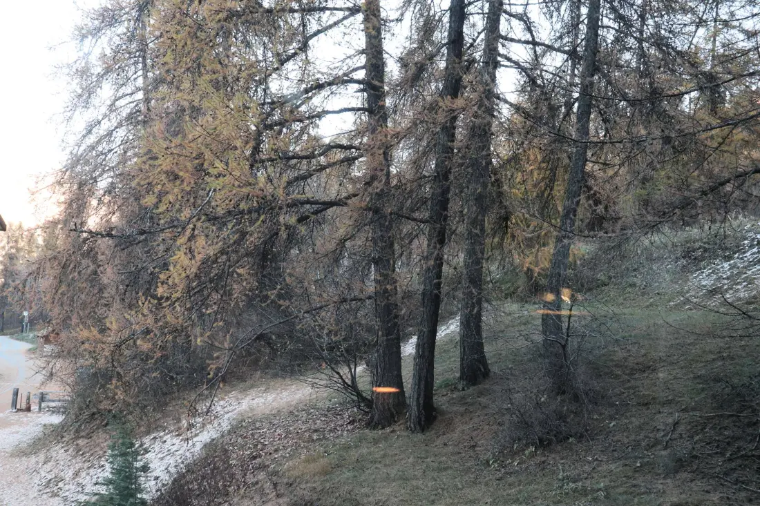 Résidence Les Flocons