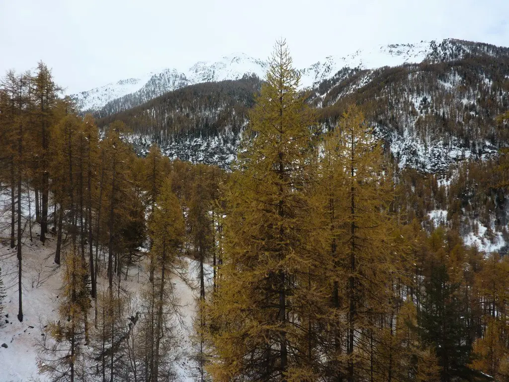 Résidence Les Flocons