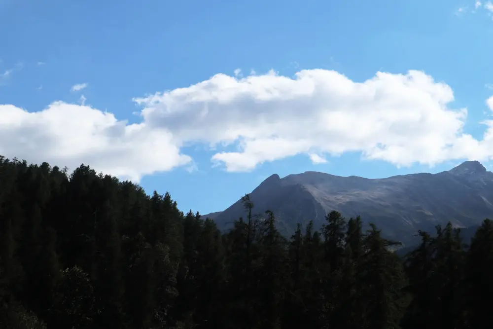 Résidence Orr Des Forets