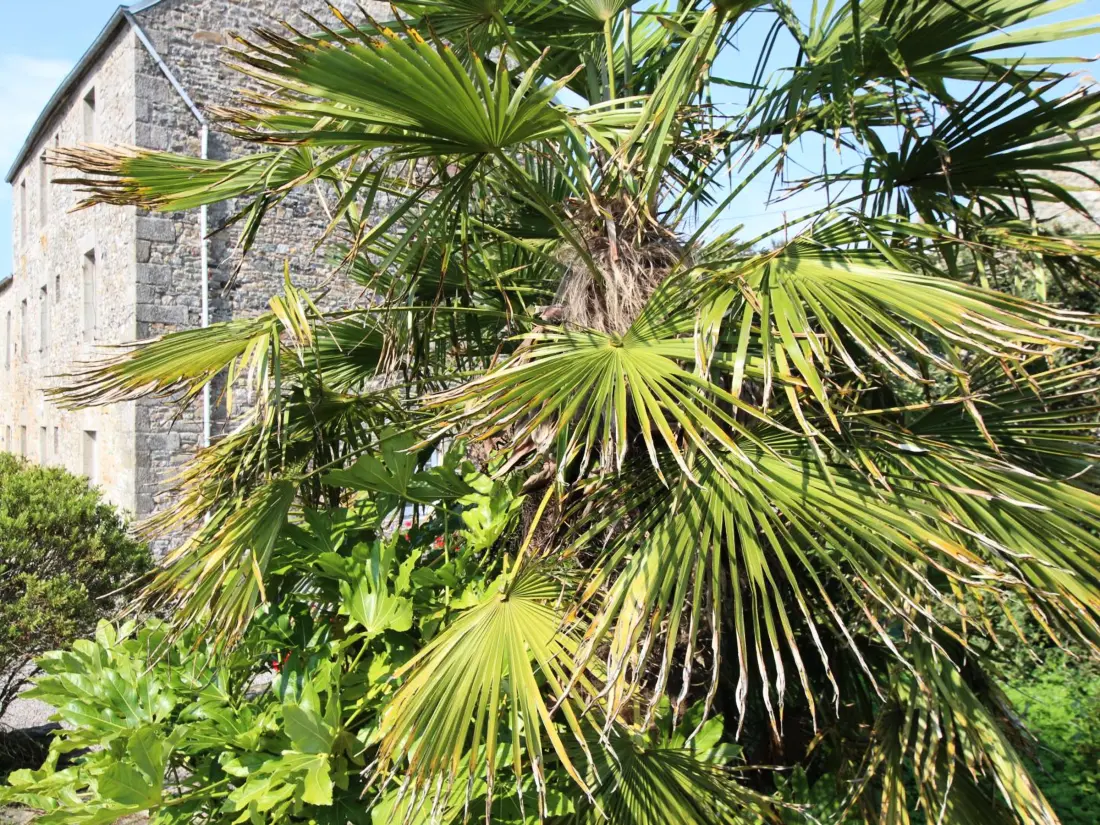 Maison de Vacances Les Pieux