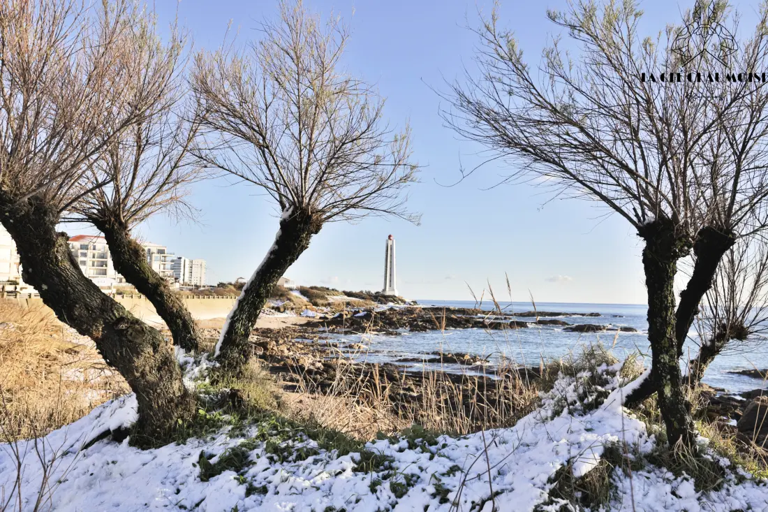 Studio à Les Sables d'Olonne