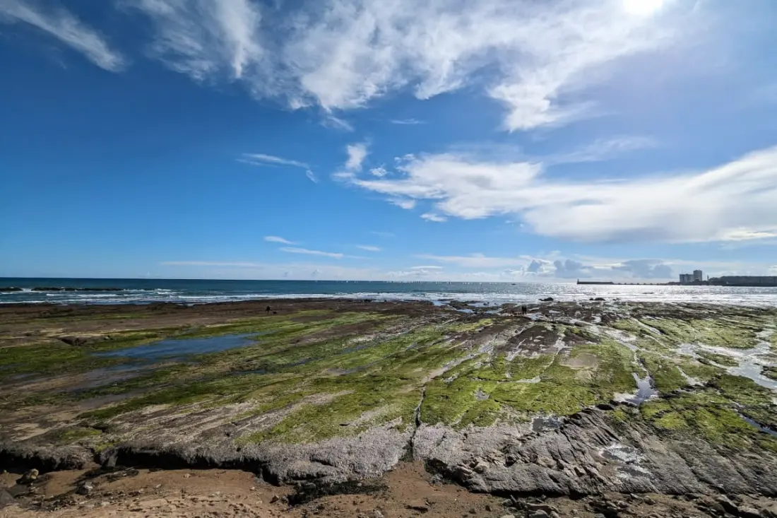 Charmant Studio à Deux Pas De La Plage