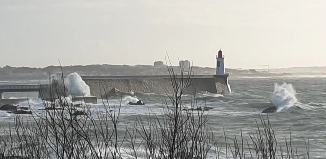 Appartements à Les Sables d'Olonne