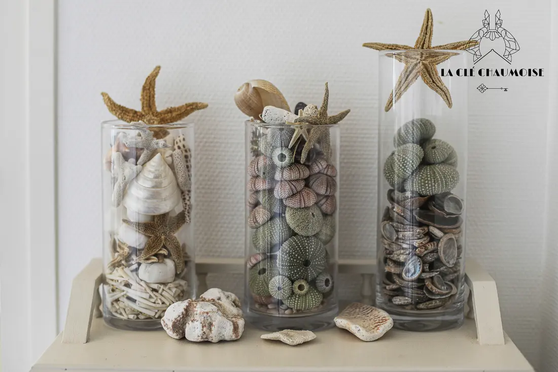 Appartements à Les Sables d'Olonne
