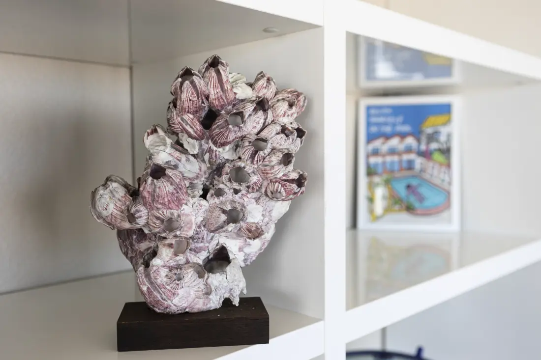 Appartements à Les Sables d'Olonne