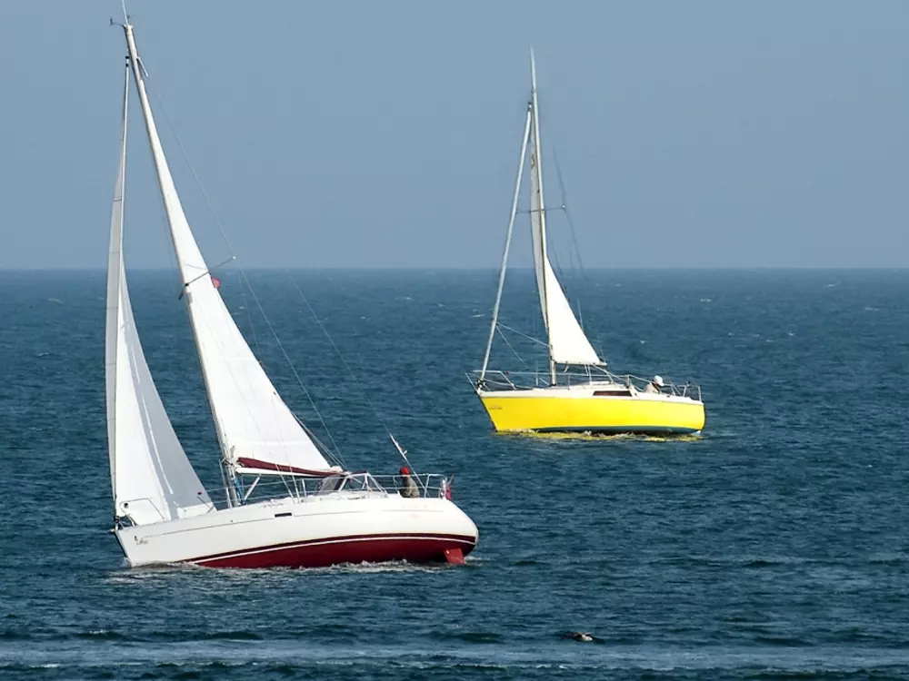 Location de Vacances Les Sables-d'Olonne 267