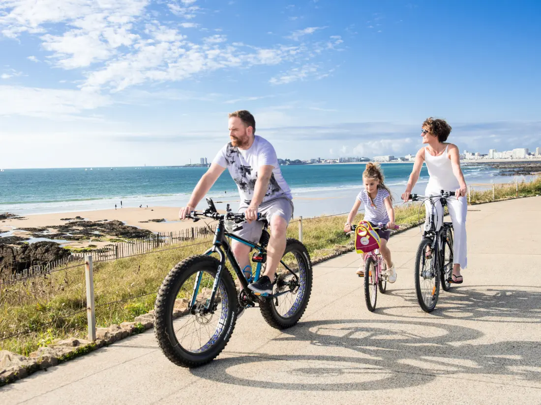 Location de Vacances Les Sables-d'Olonne 302