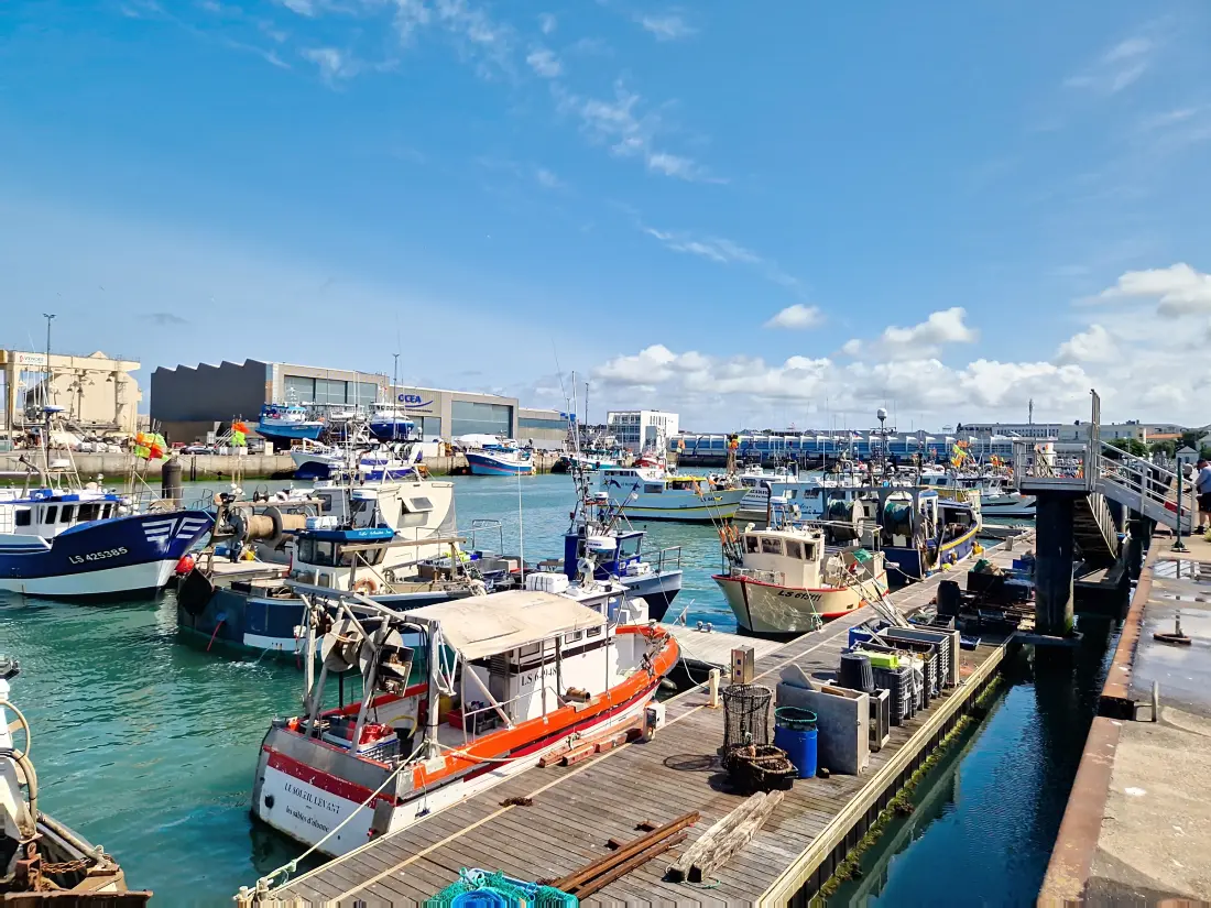 Location de Vacances Les Sables-d'Olonne 703