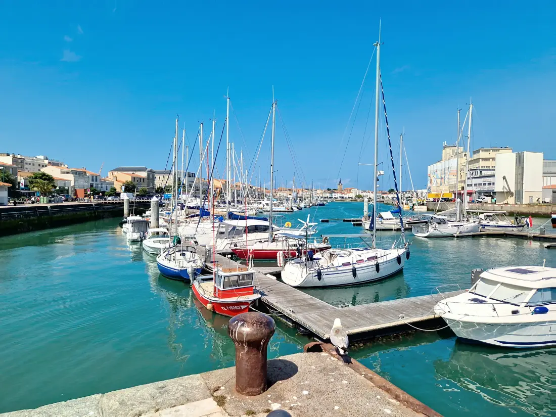 Location de Vacances Les Sables-d'Olonne 703