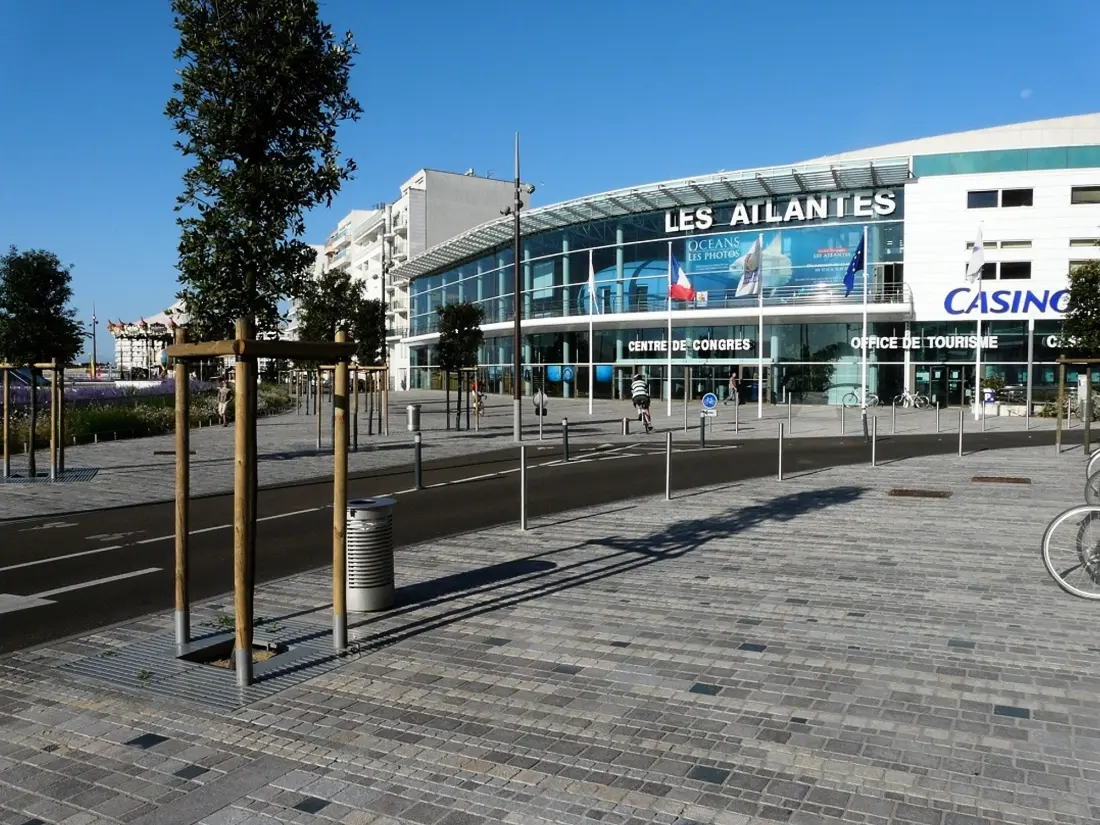 Location de Vacances Les Sables-d'Olonne 887
