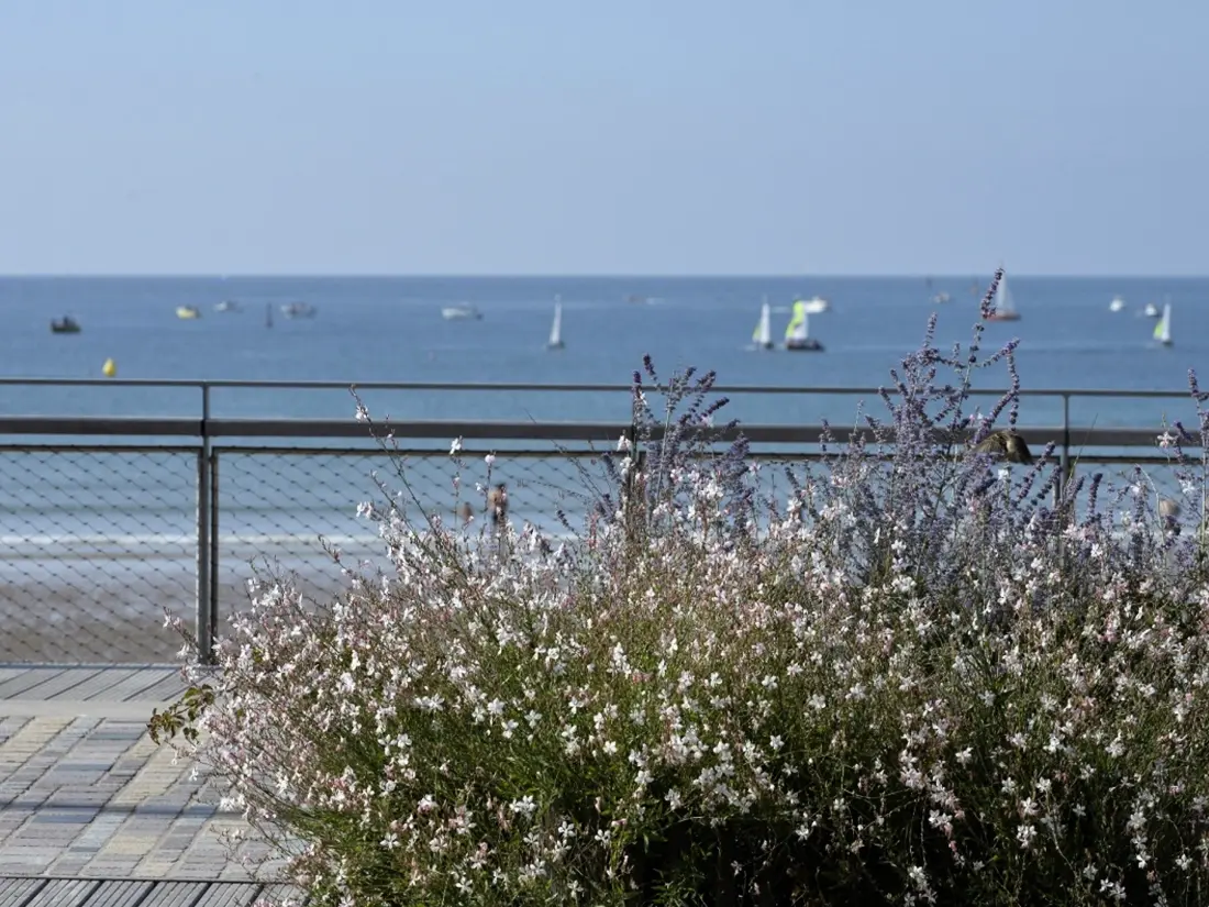 Maison de Vacances Les Sables-d'Olonne 1117
