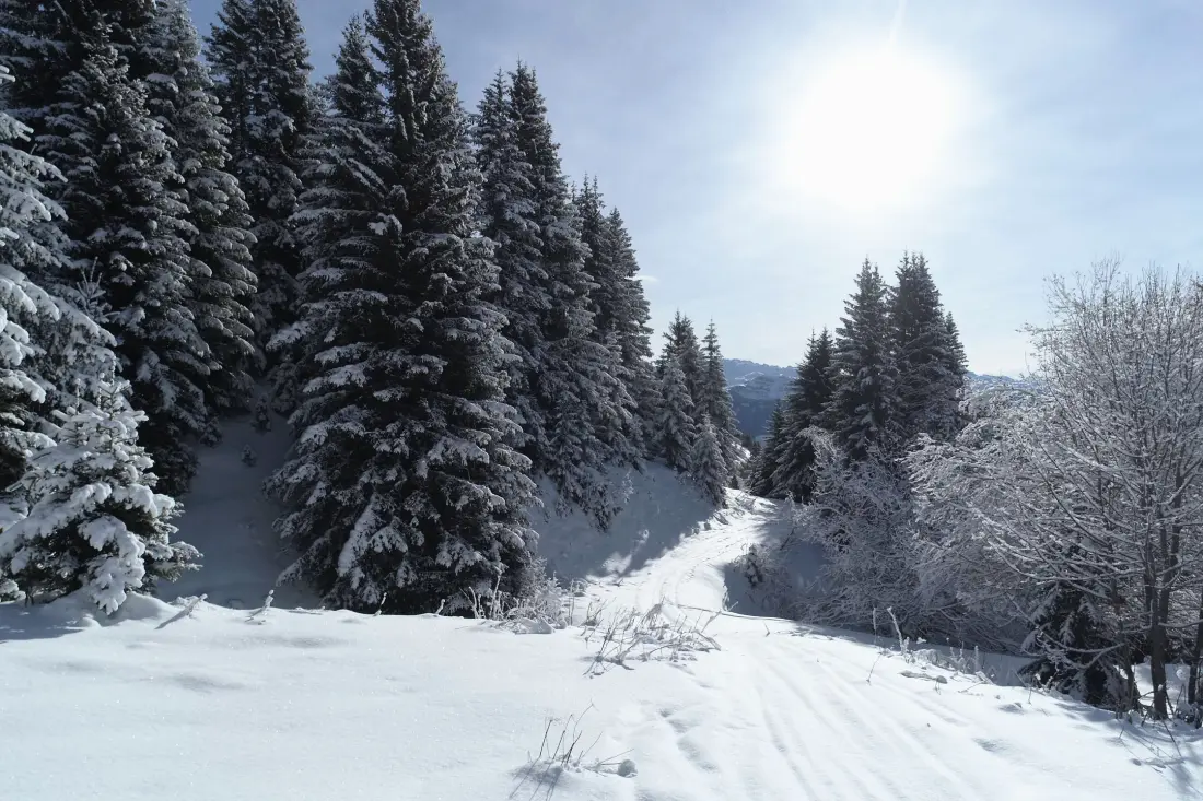 Chalet Epicea