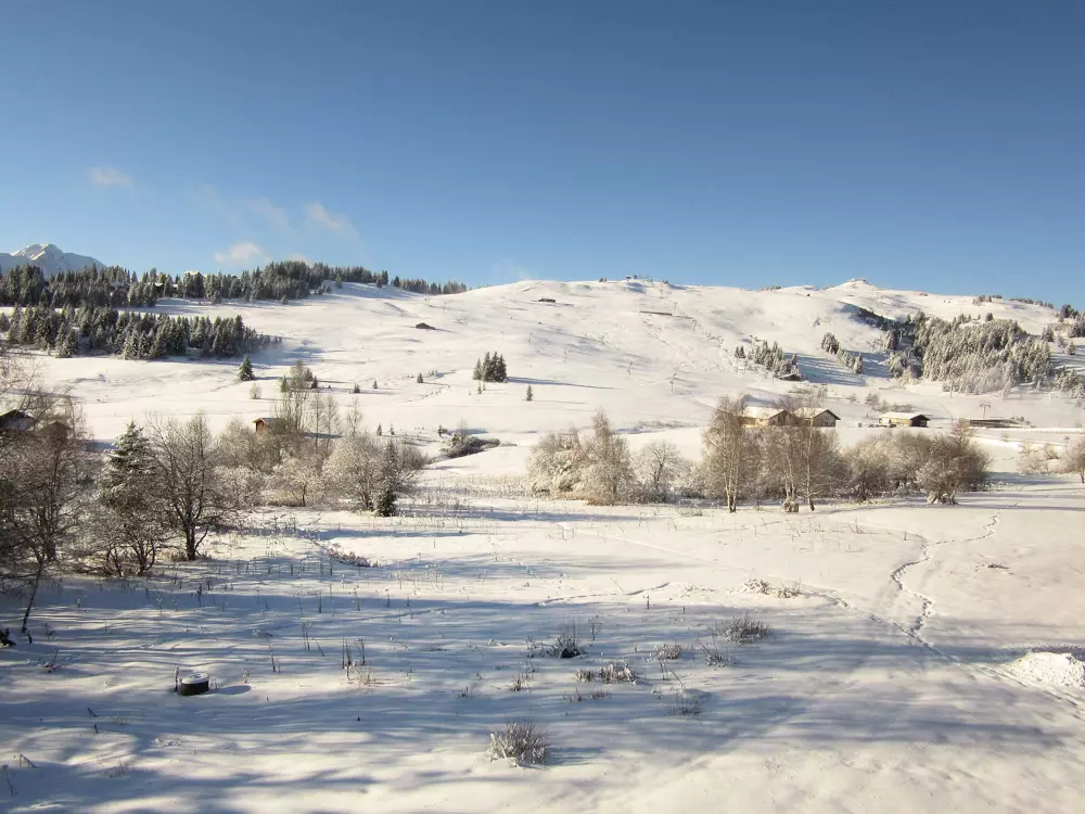 Location de Vacances Hauteluce 31