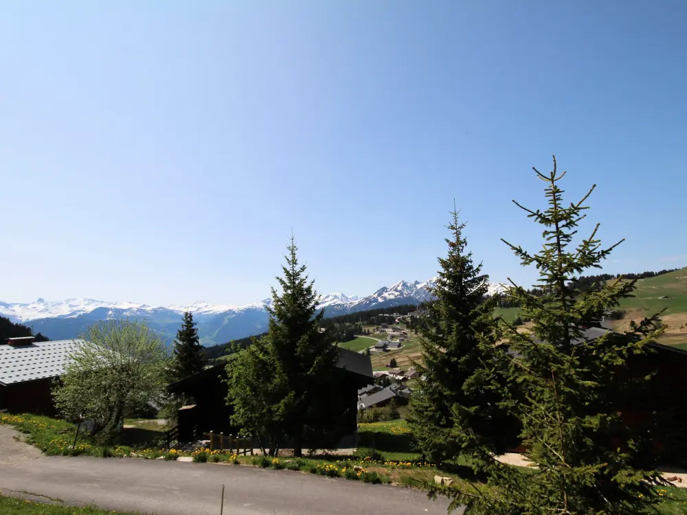 Location de Vacances Hauteluce 47