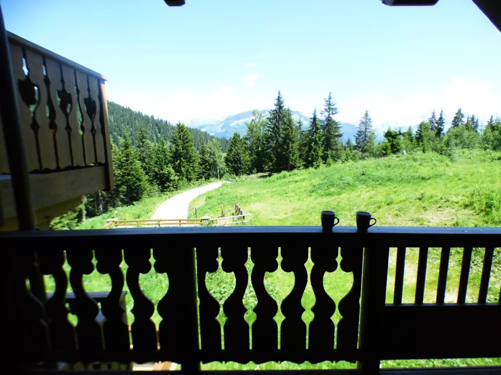 Location de Vacances Les Saisies 228