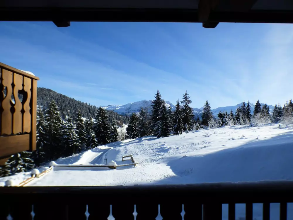 Location de Vacances Les Saisies 228