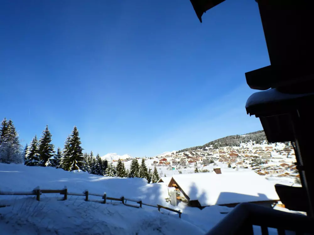 Location de Vacances Les Saisies 228