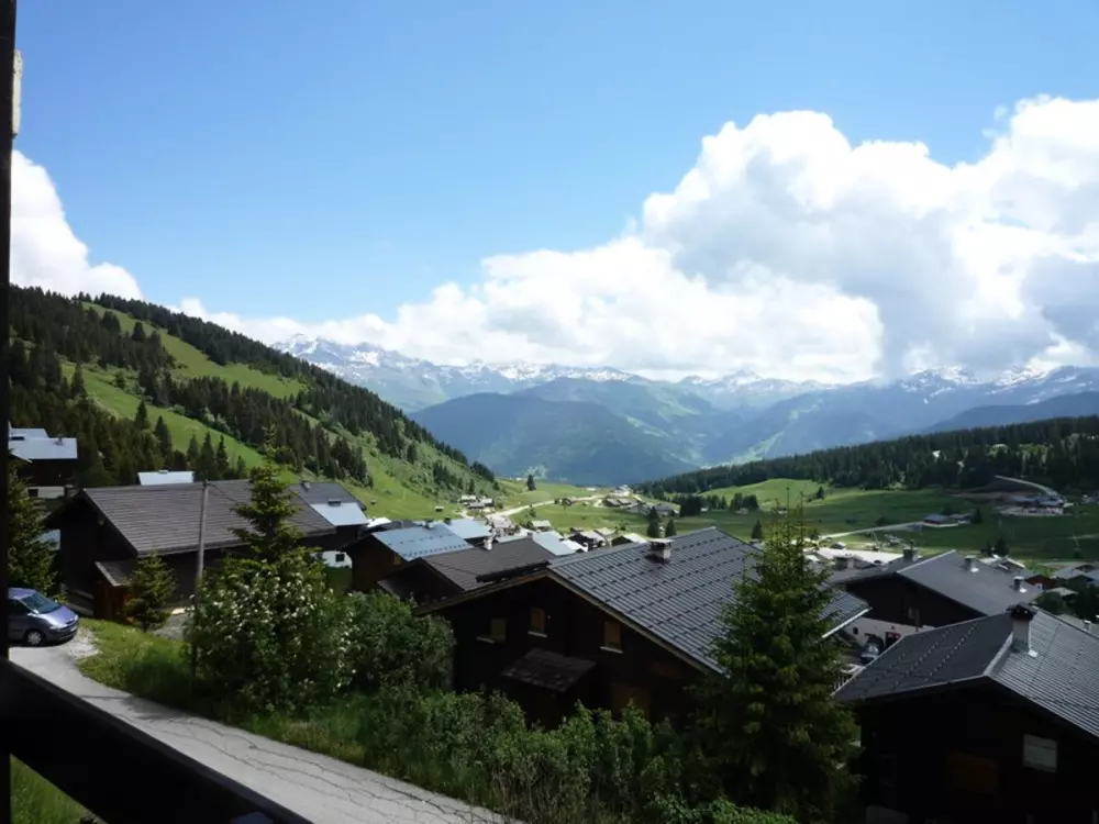 Location de Vacances Les Saisies 103