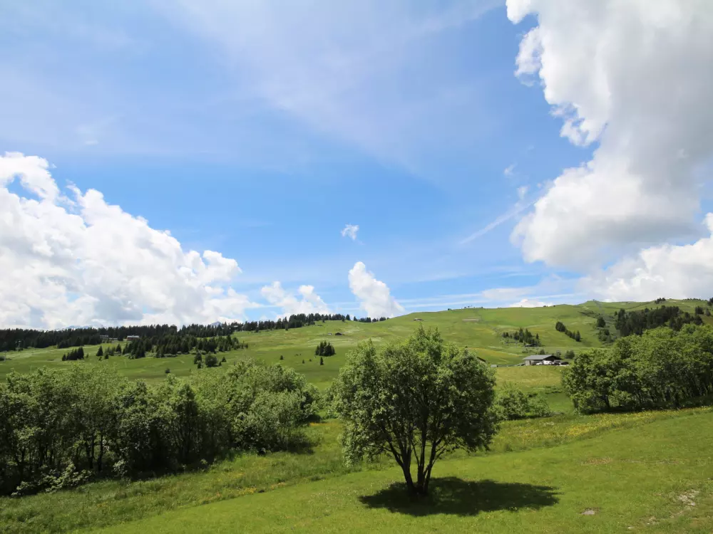 Location de Vacances Les Saisies 112