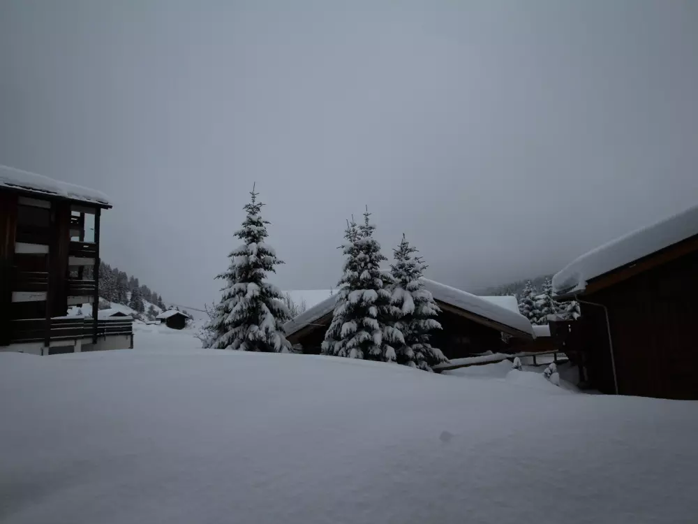 Location de Vacances Les Saisies 141