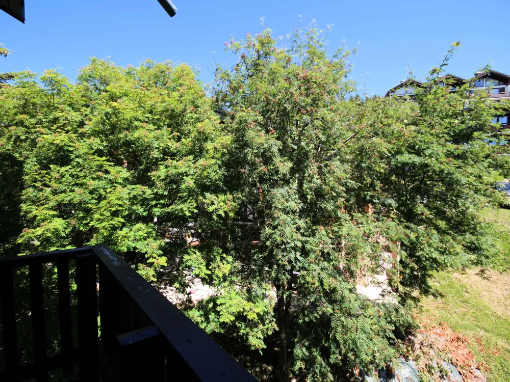Location de Vacances Les Saisies 177