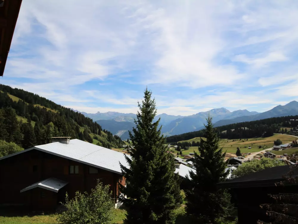 Location de Vacances Les Saisies 187