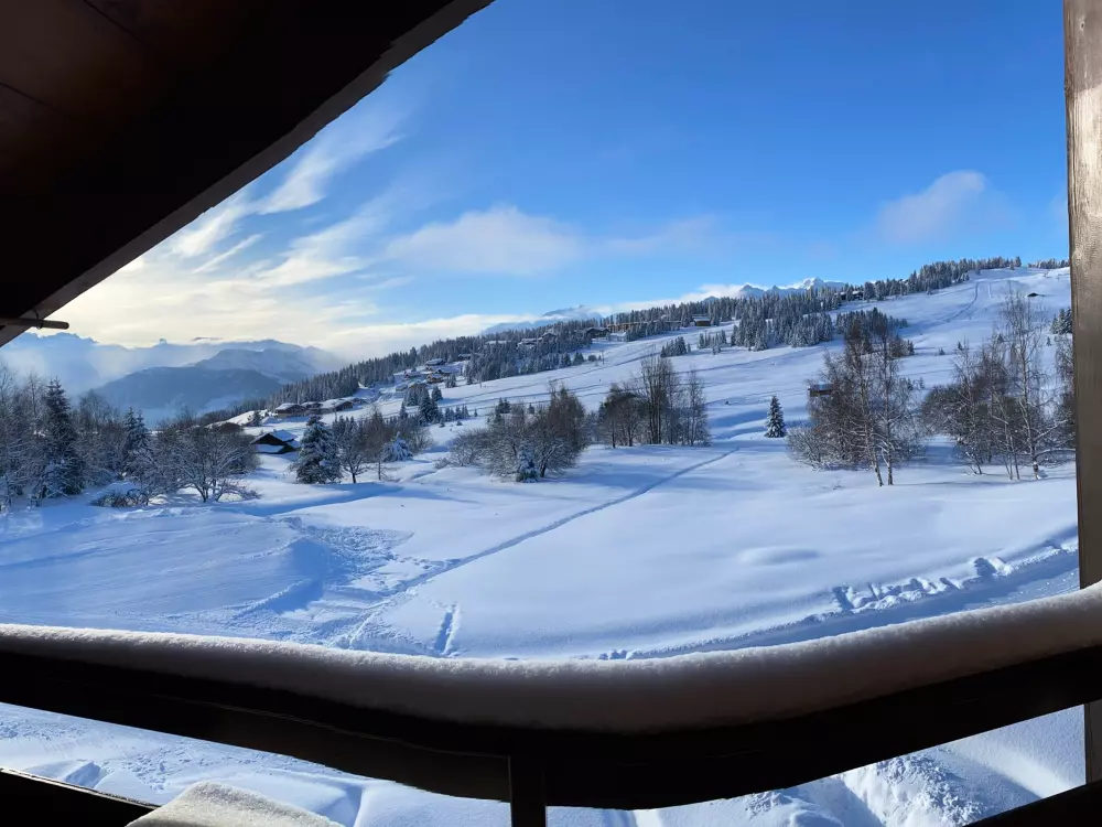 Location de Vacances Les Saisies 222