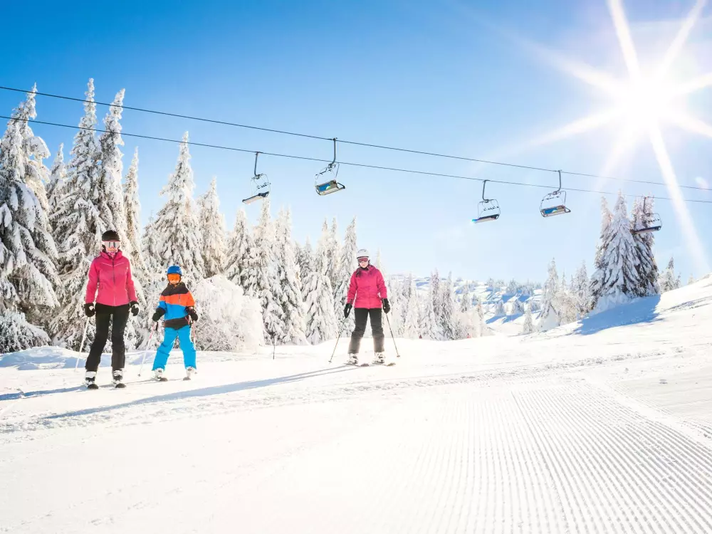 Location de Vacances Les Saisies 294