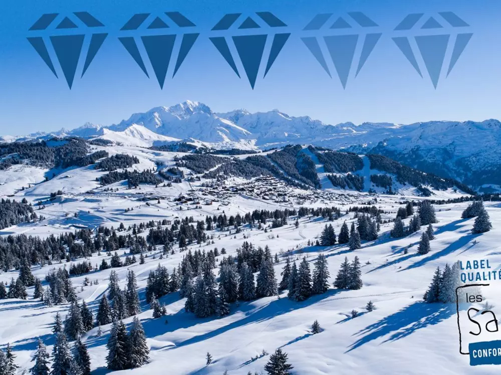 Location de Vacances Les Saisies 318